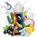 HAYVAN JUICE - HAYAT 10ml Longfill Aroma mit Steuerzeichen